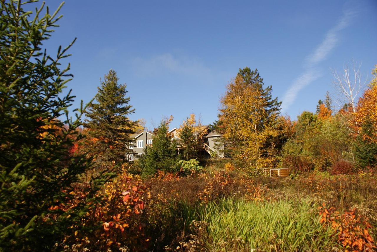 Top Of Algonquin Bed And Breakfast Mattawa Kültér fotó